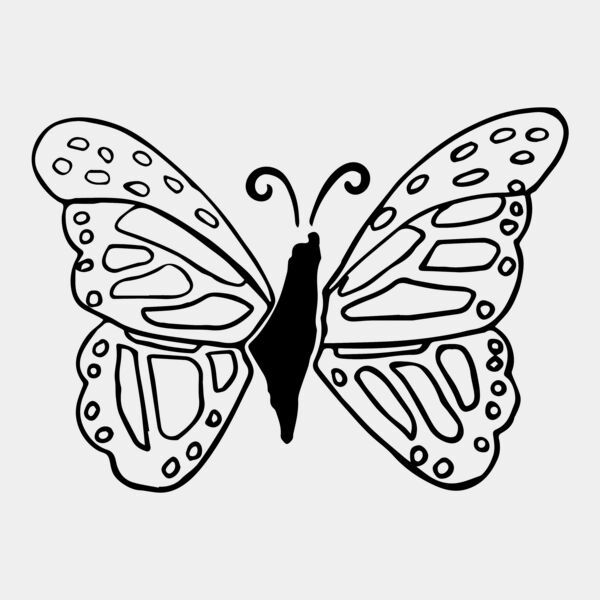 Palestine Butterfly Thumbnail